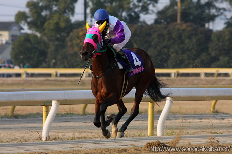 ���f�B�[�X�W���b�L�[�Y�V���[�Y2008�E�r��