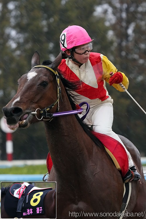 ���f�B�[�X�W���b�L�[�Y�V���[�Y2008�E����