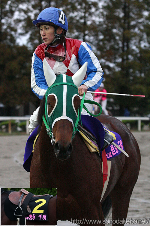 ���f�B�[�X�W���b�L�[�Y�V���[�Y2008�E����