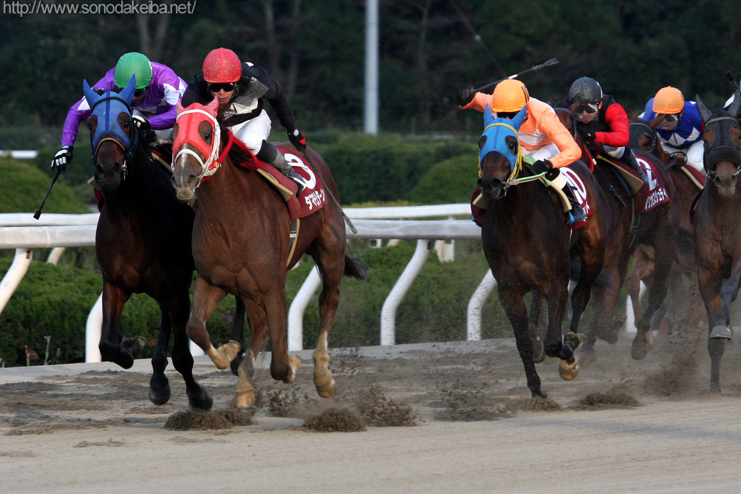 ��37�񉀓c�W���j�A�J�b�v