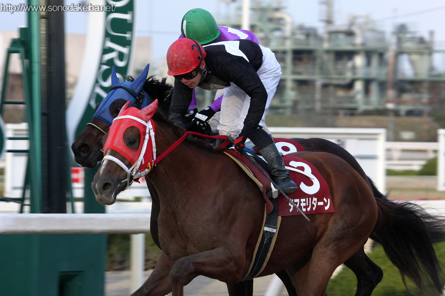 ��37�񉀓c�W���j�A�J�b�v