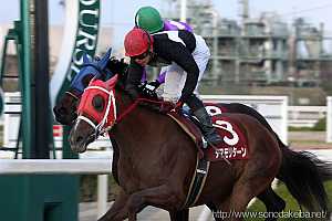 園田ジュニアカップ