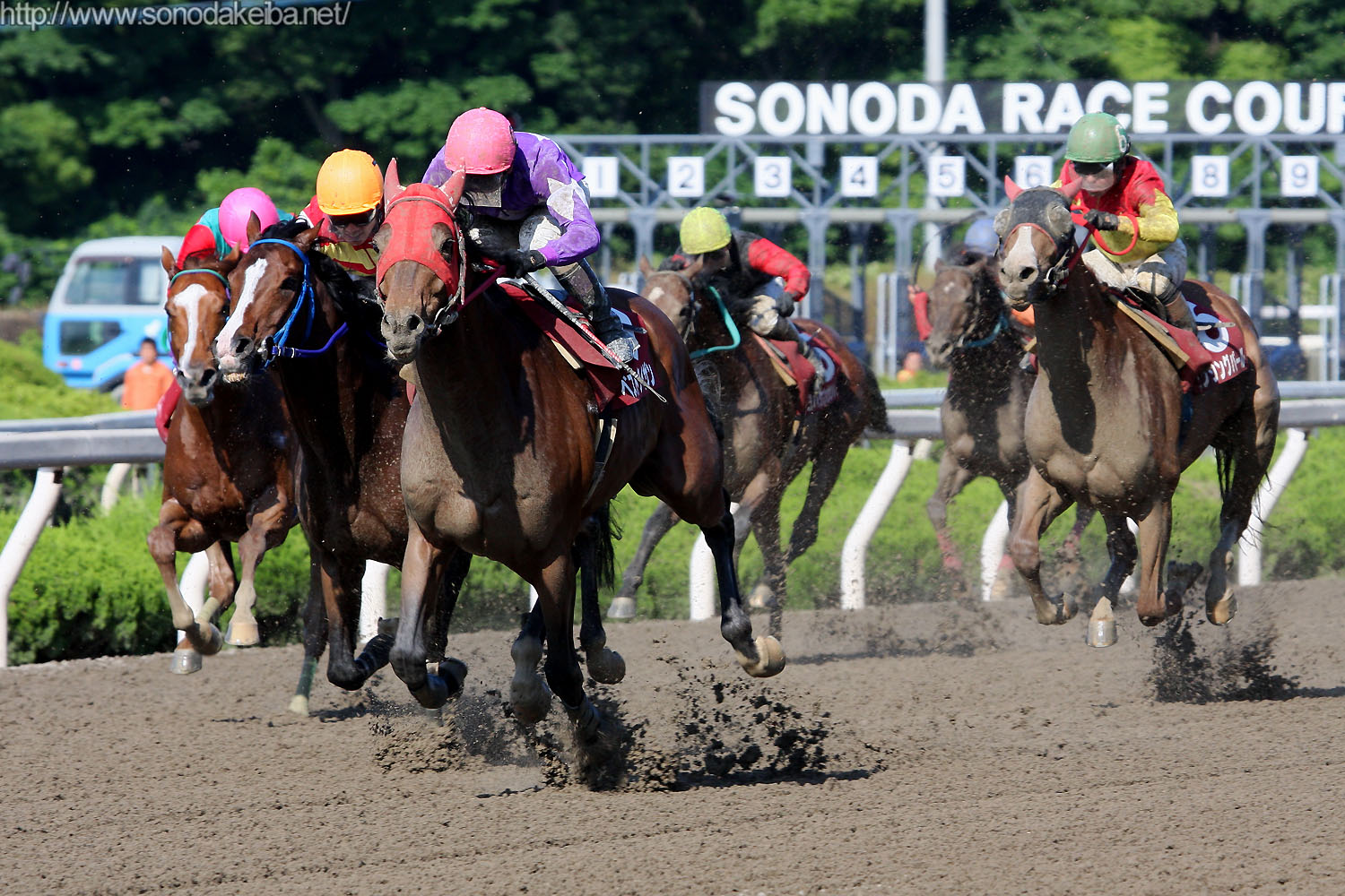 ��6�񉀓c�t�����h���[�J�b�v