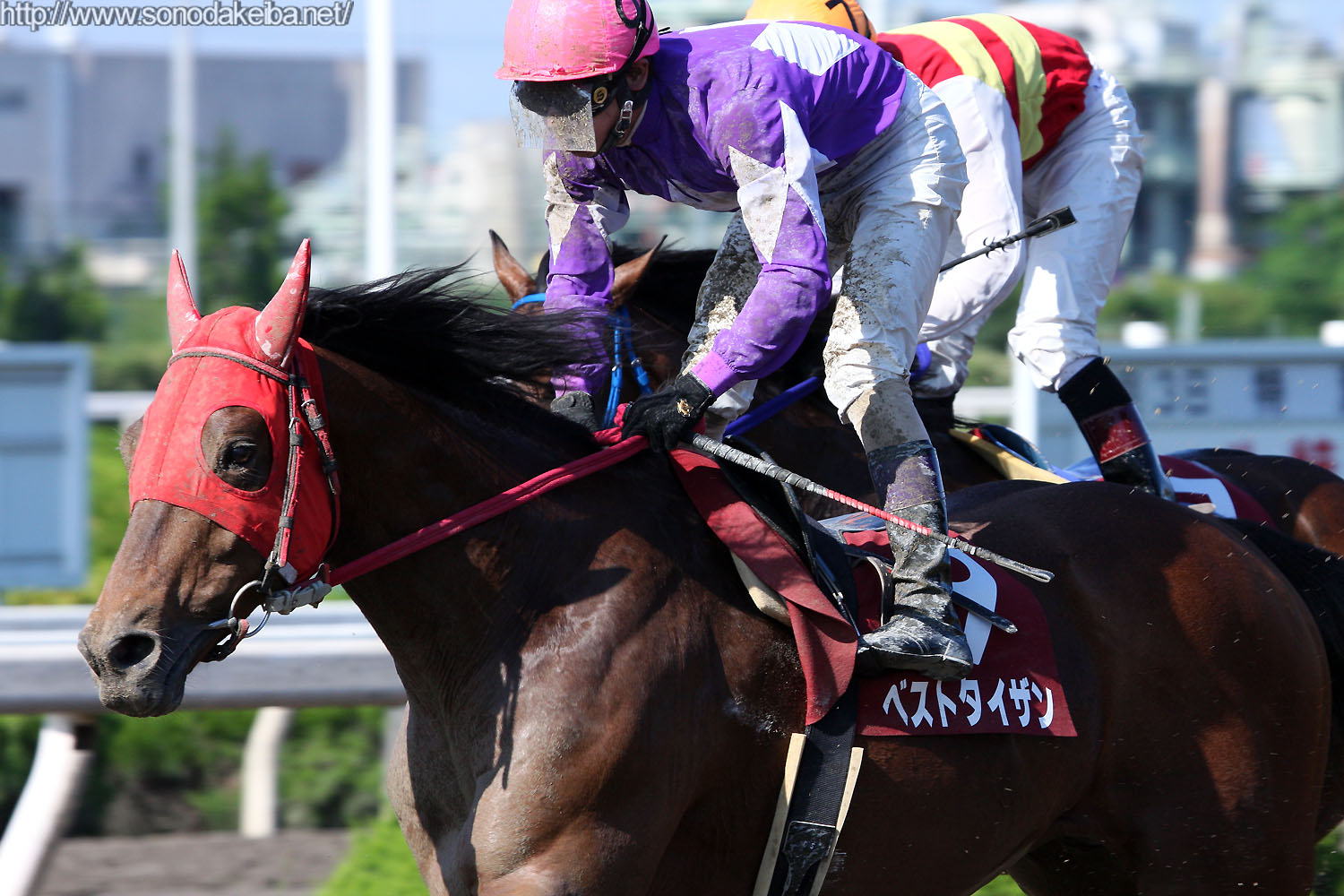 ��6�񉀓c�t�����h���[�J�b�v