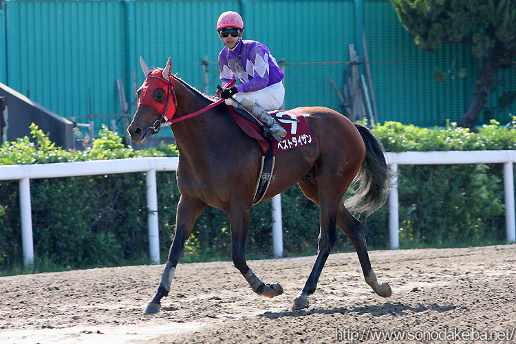 �x�X�g�^�C�U��