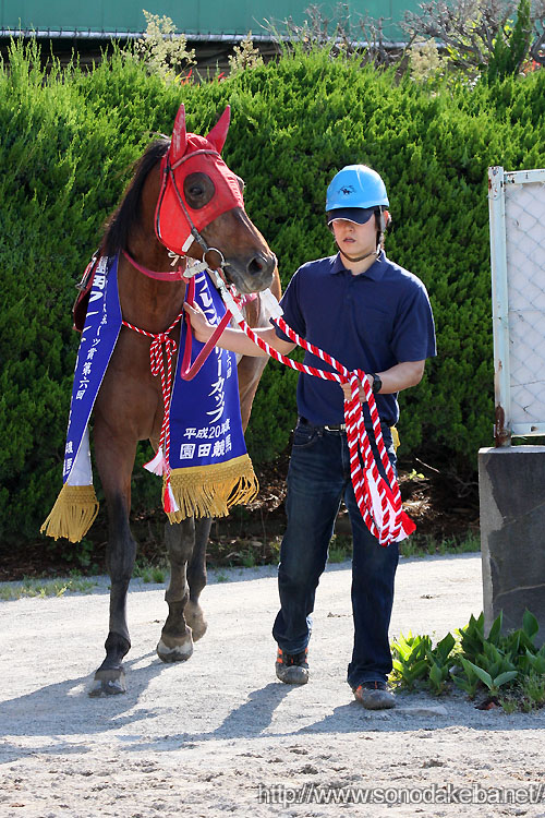 �x�X�g�^�C�U��