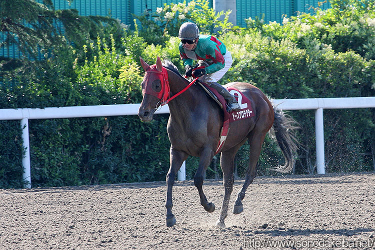 �s�[�X�v���e�N�^�[