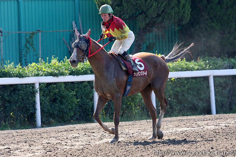 �_���V���O�p�[��