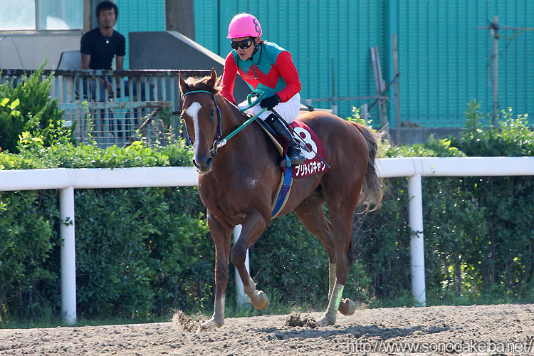 �v���e�B�X�L����