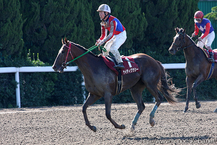 �P�C�e�B�N���V�[