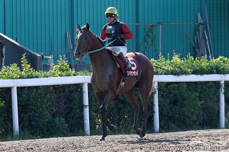 �R�p�P���T���o