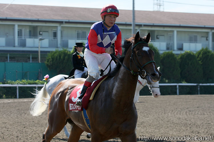 �����K�X�Q�[��