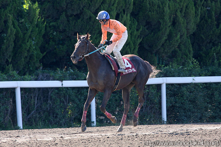 �z�N�U���X�^�[�_��