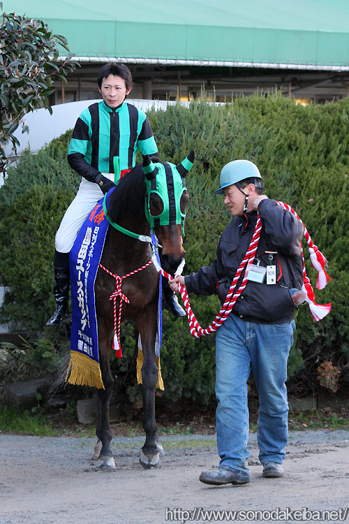 �T�`�R�S�[�W���X