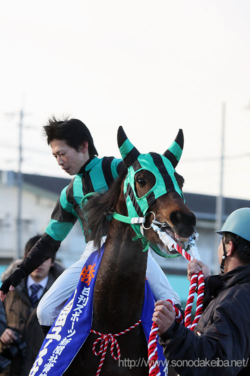 �T�`�R�S�[�W���X