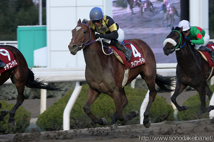 �A�C�t�@�[�_�C�I�[