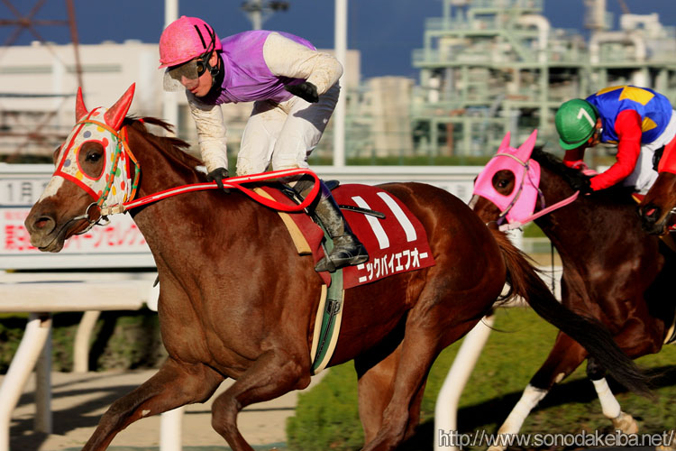 �j�b�N�o�C�G�t�I�[