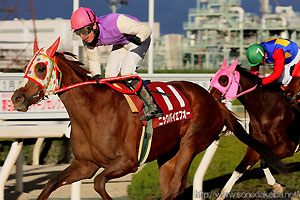 園田クイーンセレクション