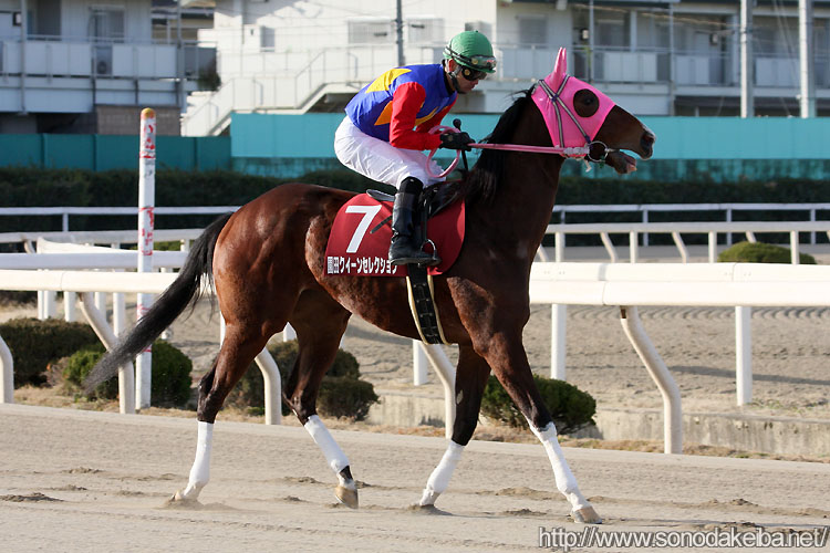 �E���g���G�i�W�[