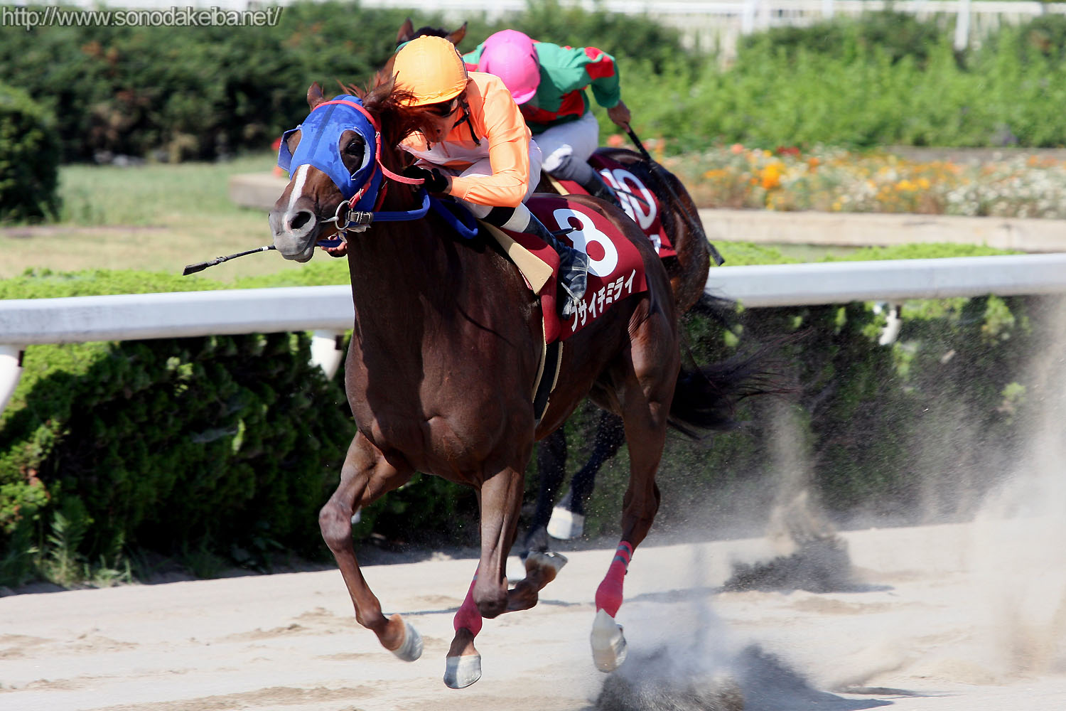 ��1�񕺌ɃT�}�[�N�C�[����