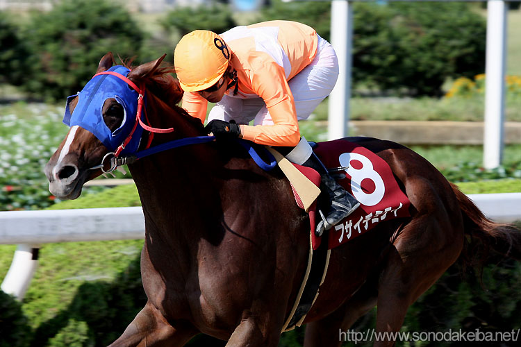 �t�T�C�`�~���C