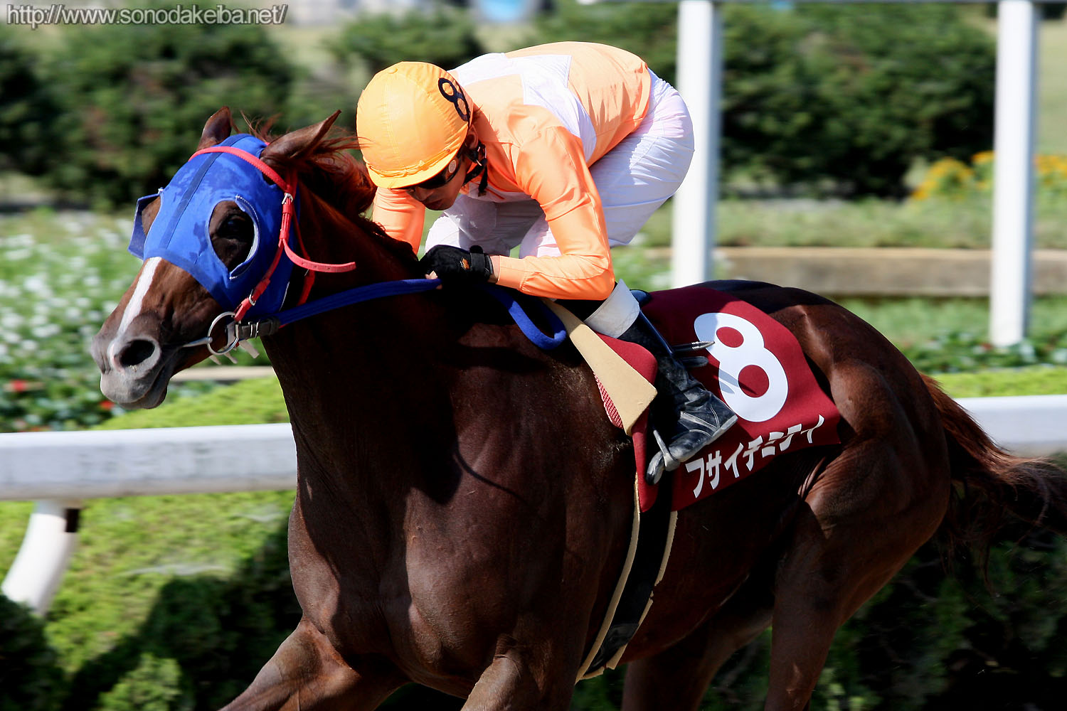 ��1�񕺌ɃT�}�[�N�C�[����