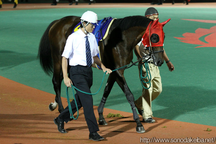 �鉤�ܕ��ɐ�