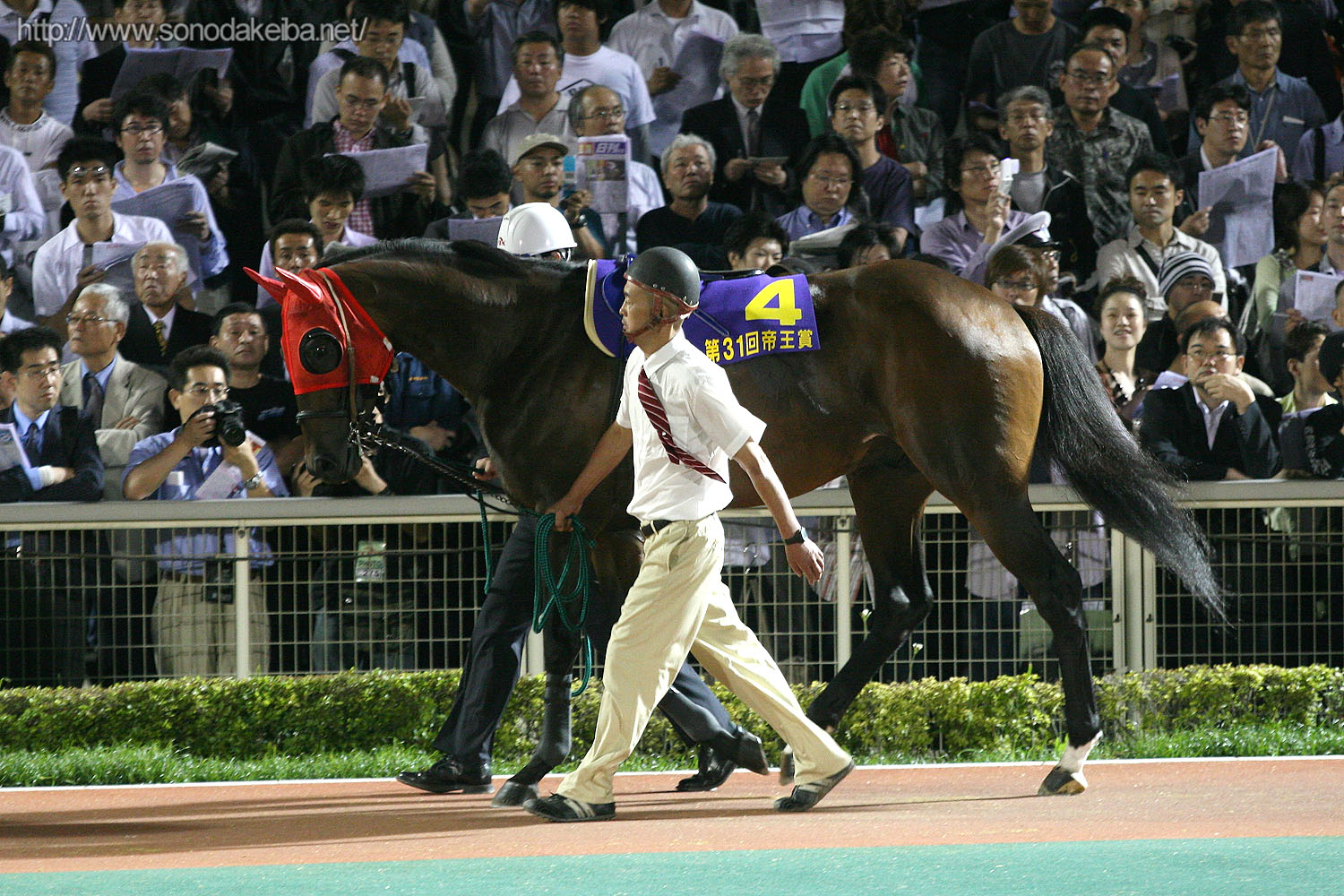 ��31��鉤��