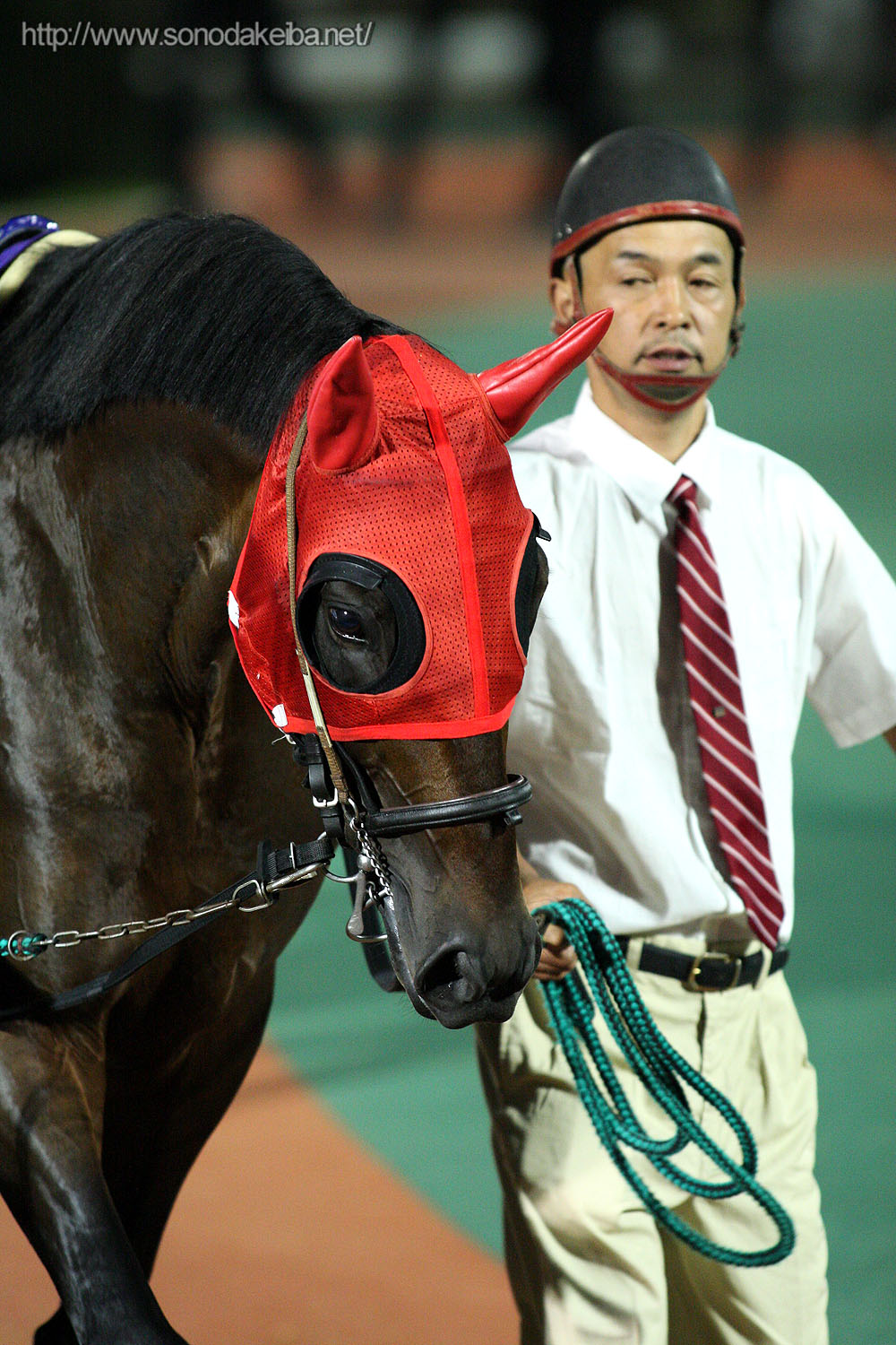 ��31��鉤��