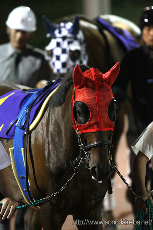 �鉤�ܕ��ɐ�