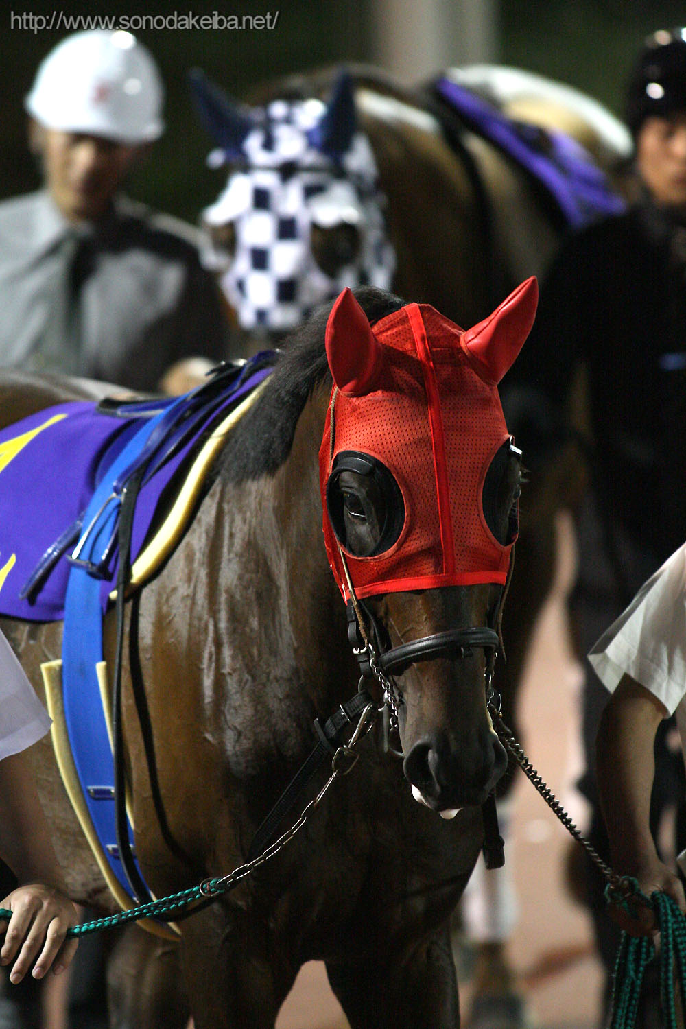 ��31��鉤��