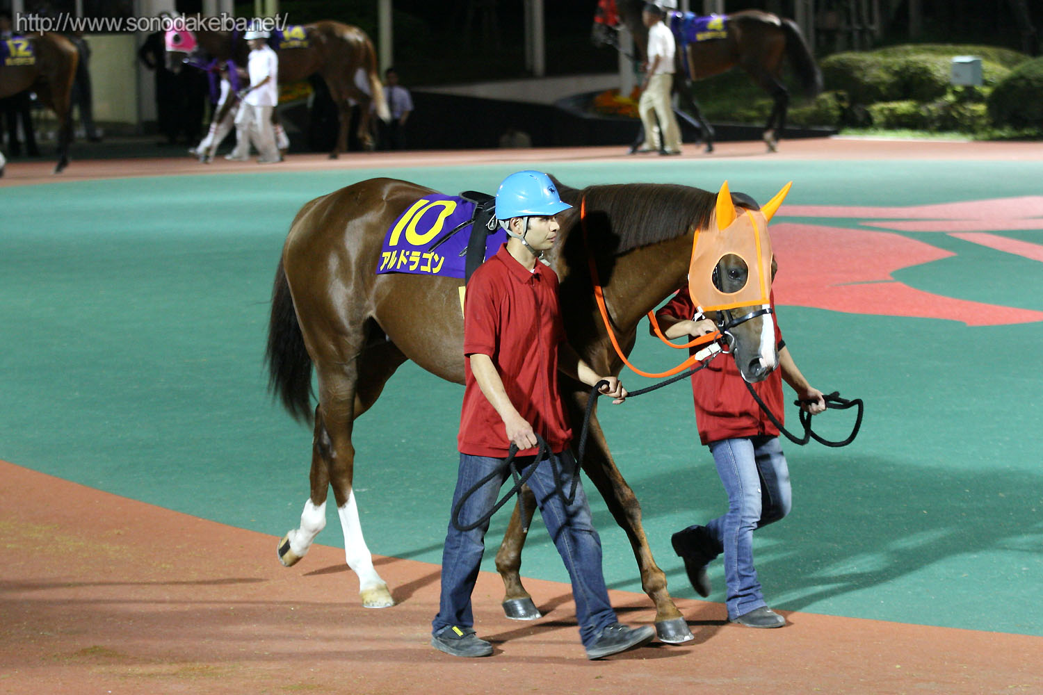 ��31��鉤��