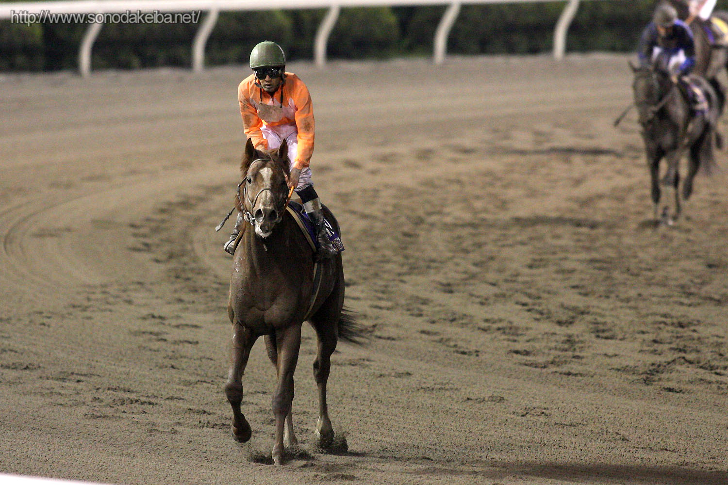 ��31��鉤��