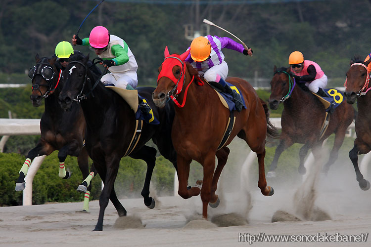 ��{�R��Ə��Y�R��