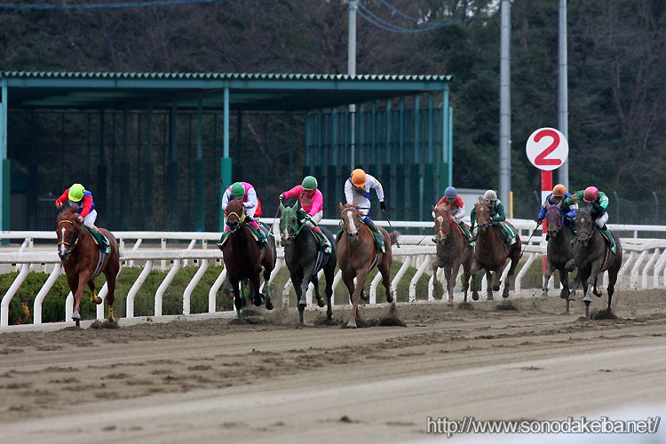 �`�����s�I���W���b�L�[��