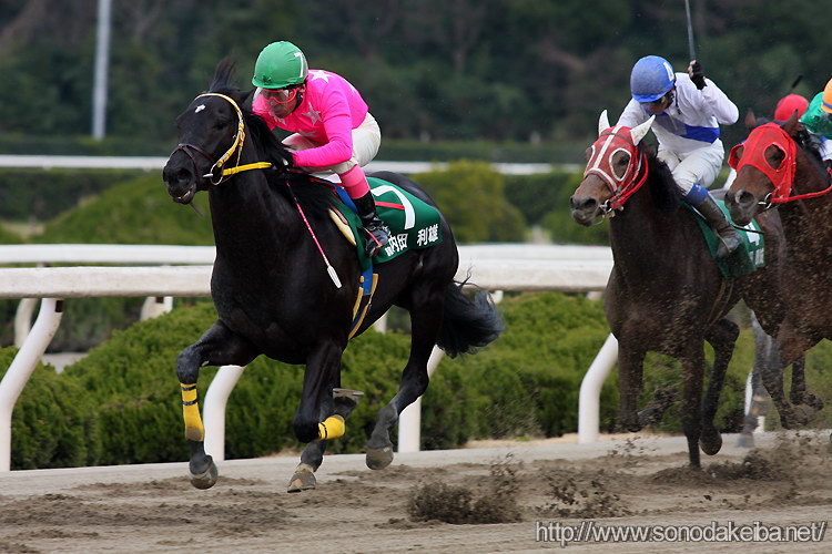 �G�L�T�C�e�B���O�W���b�L�[��