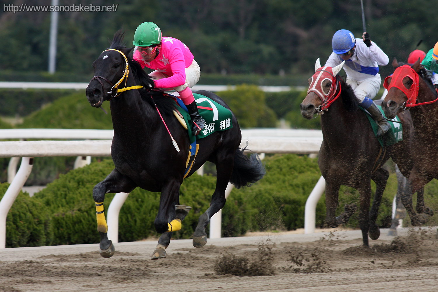 ��17��S�[���f���W���b�L�[�J�b�v