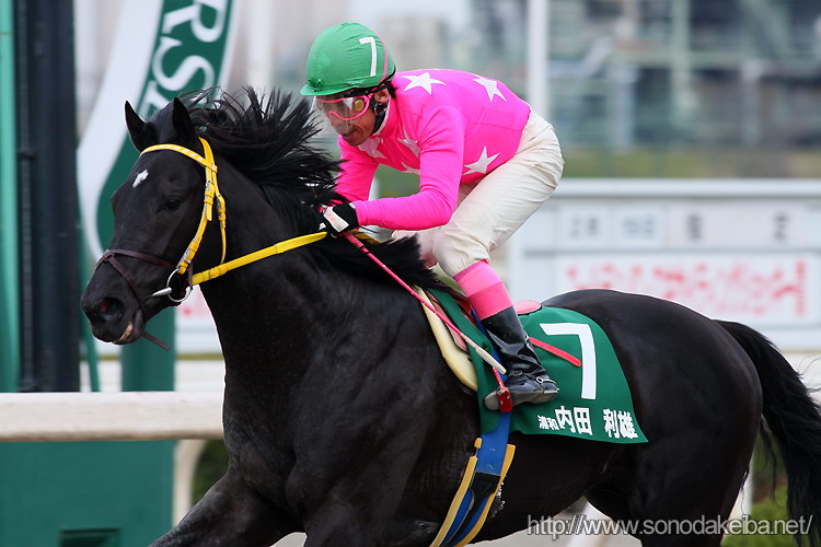 �G�L�T�C�e�B���O�W���b�L�[��