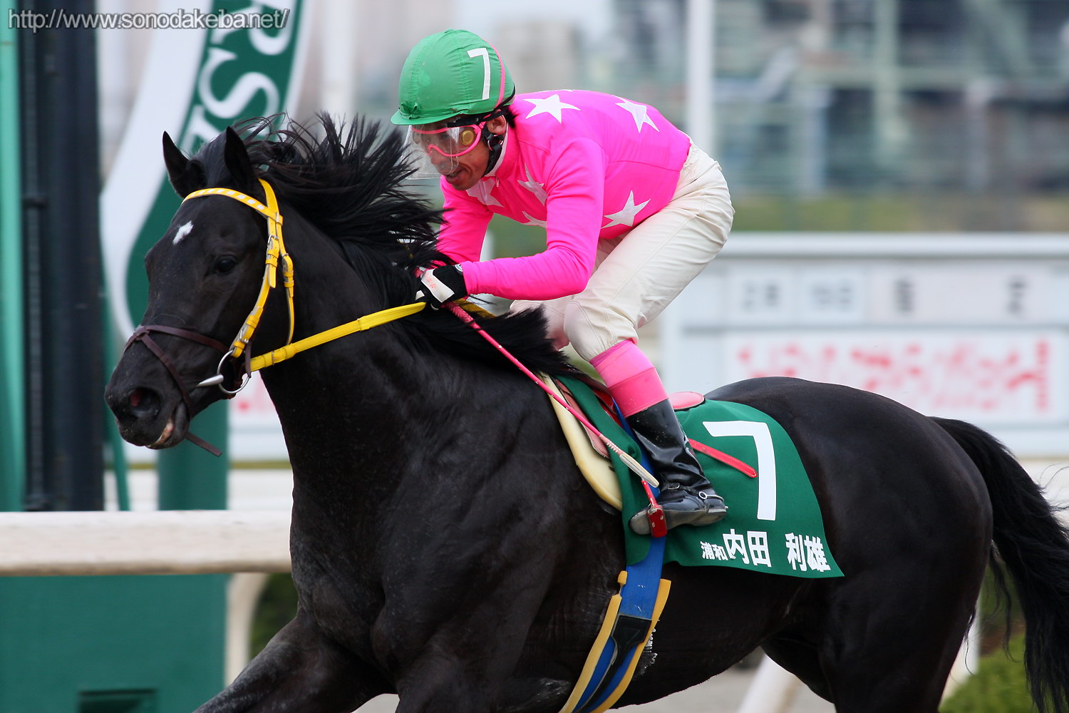 ��17��S�[���f���W���b�L�[�J�b�v