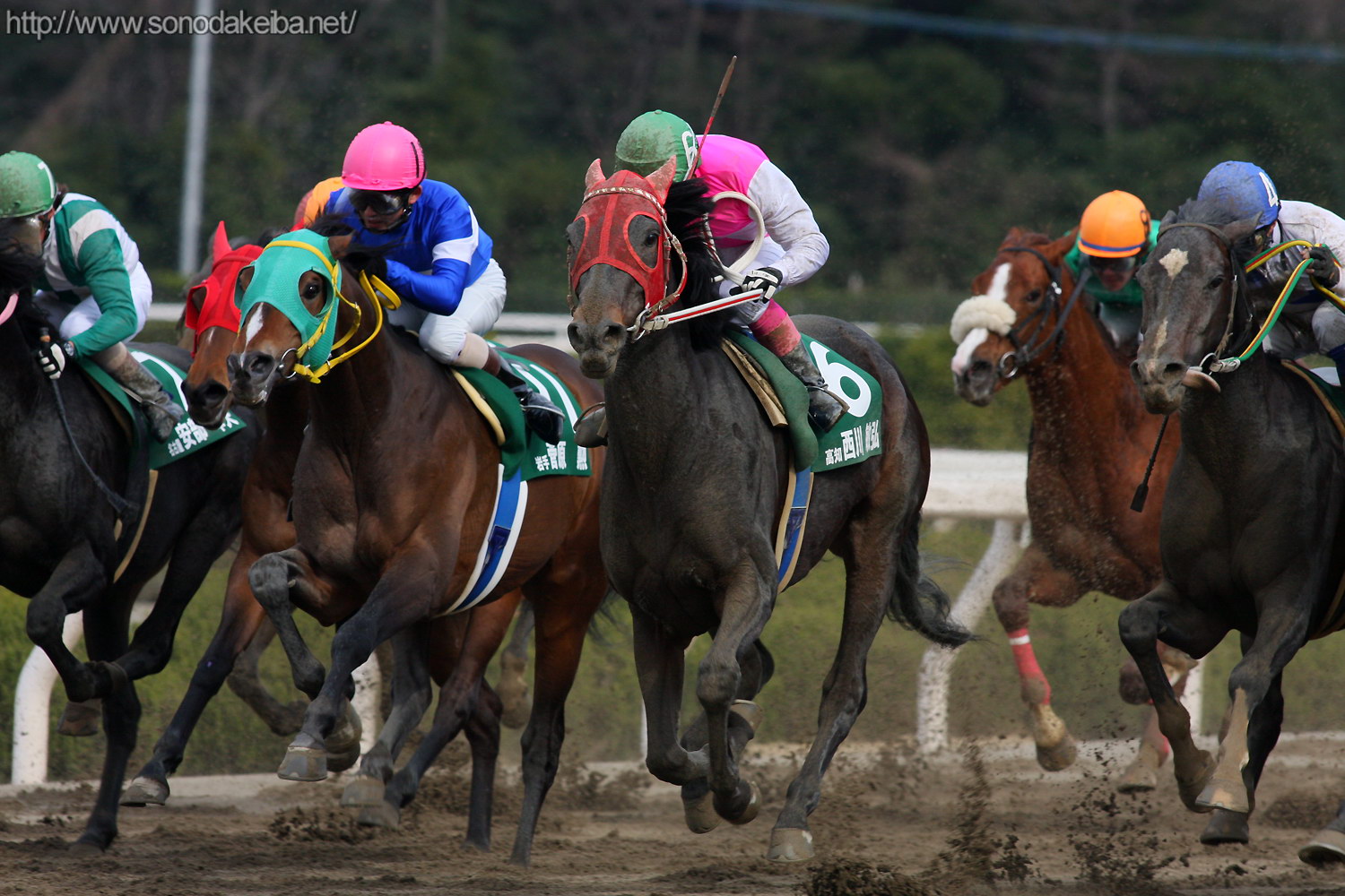 ��17��S�[���f���W���b�L�[�J�b�v