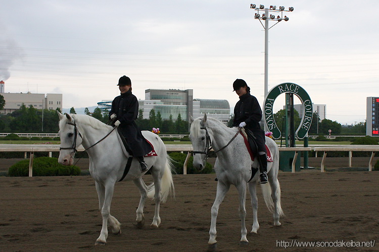 ���Ƀ`�����s�I���V�b�v