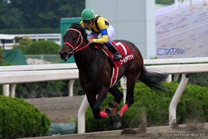 兵庫チャンピオンシップ