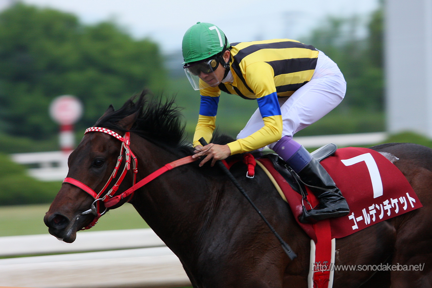 ��45�񕺌Ƀ`�����s�I���V�b�v