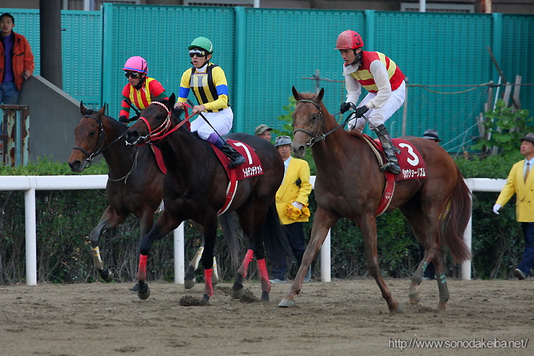 ���Ƀ`�����s�I���V�b�v