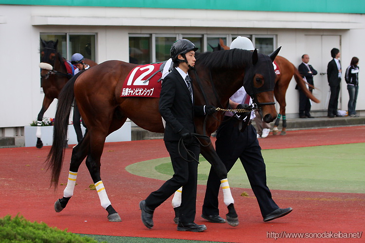 ���Ƀ`�����s�I���V�b�v