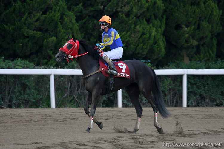 ���Ƀ`�����s�I���V�b�v