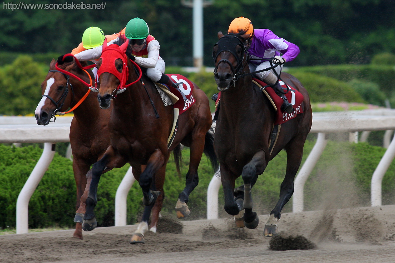 ��45�񕺌ɑ�ܓT