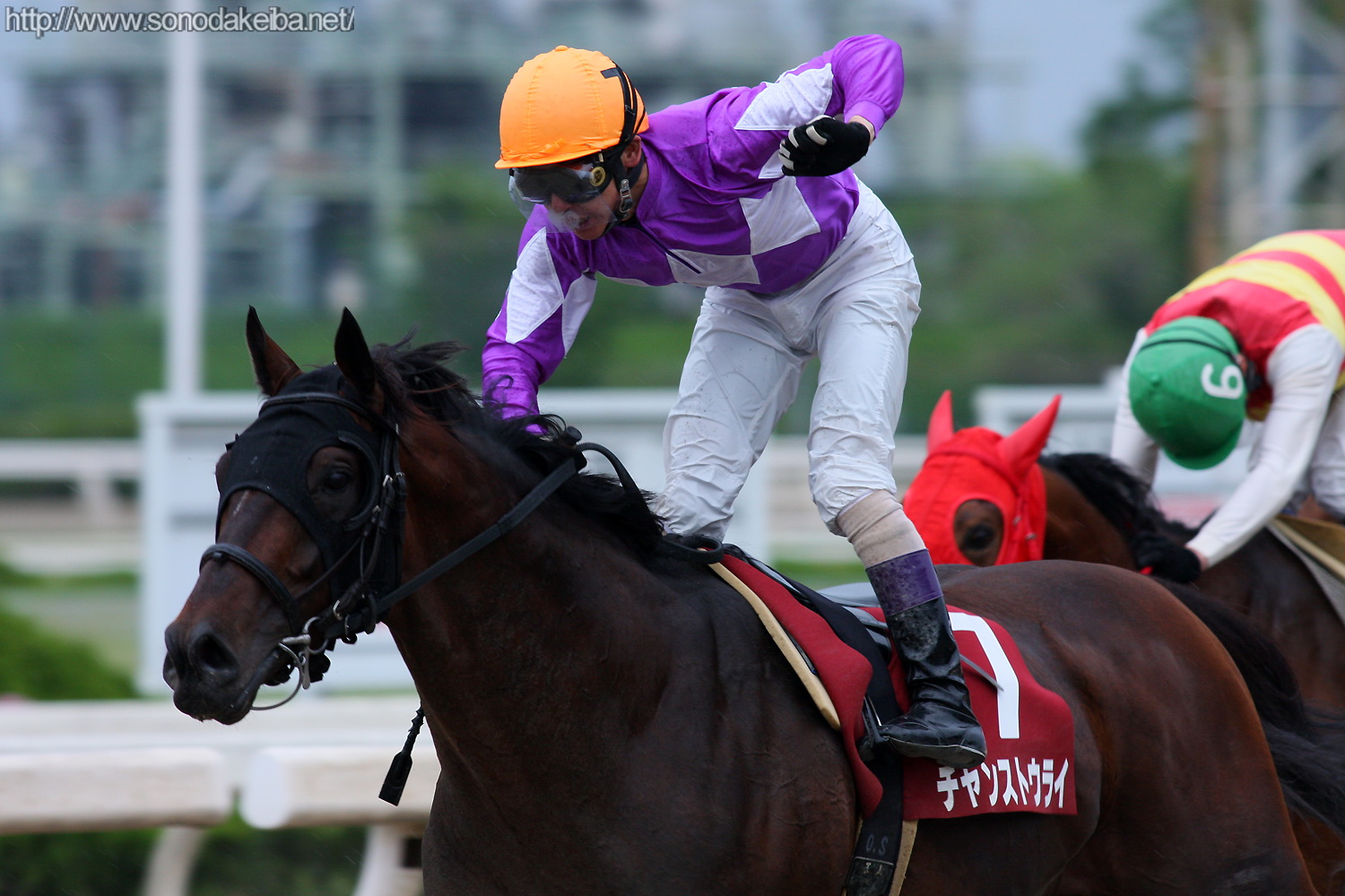 ��45�񕺌ɑ�ܓT