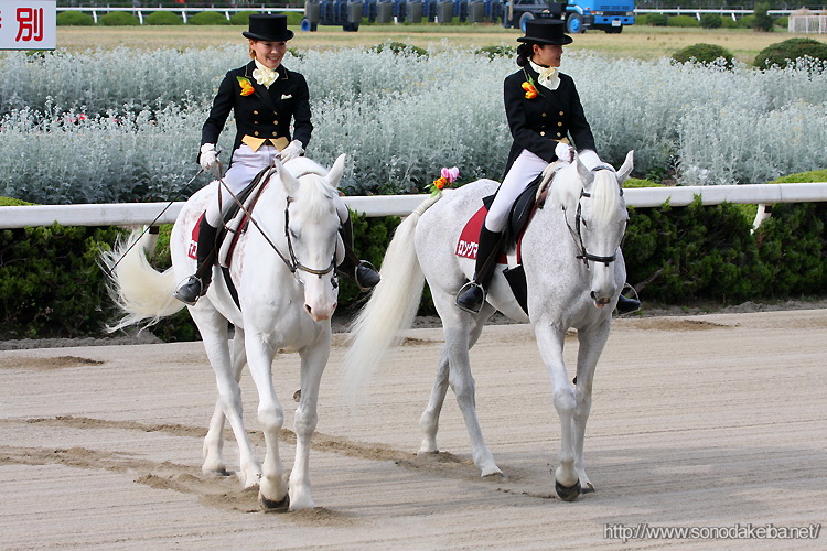 ���Ƀ_�[�r�[