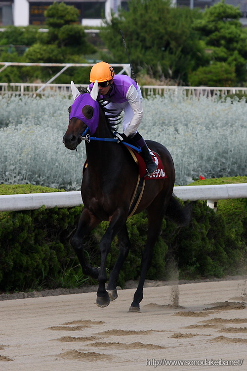 ���Ƀ_�[�r�[